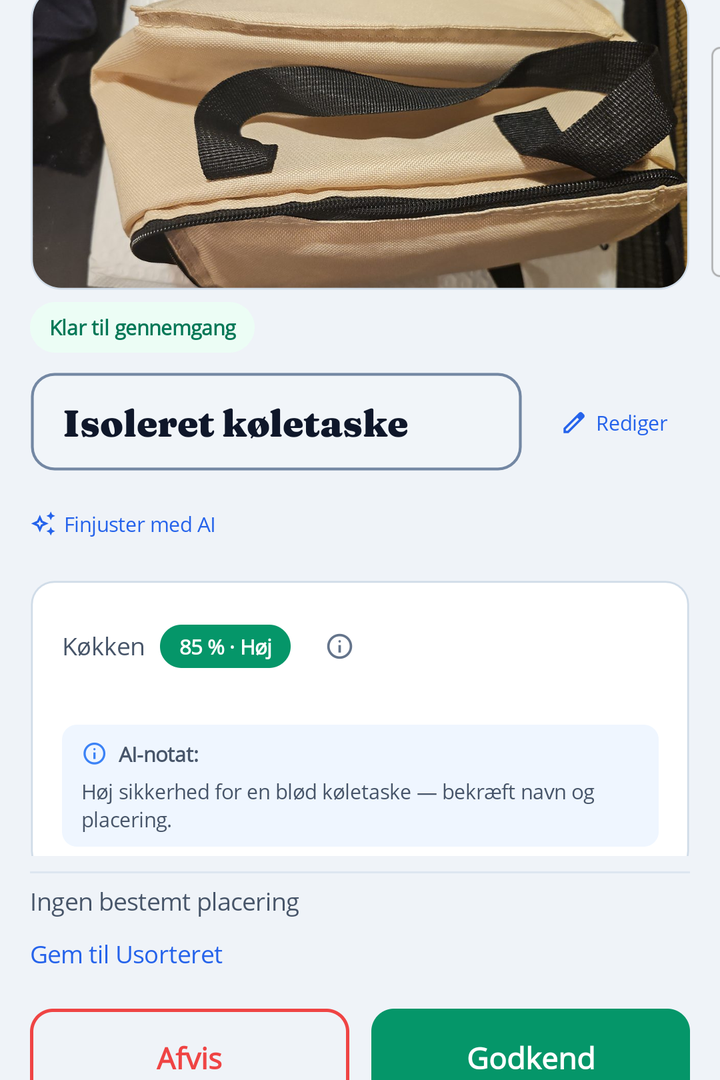 HoardIQ Review screen showing AI suggestions for a captured item