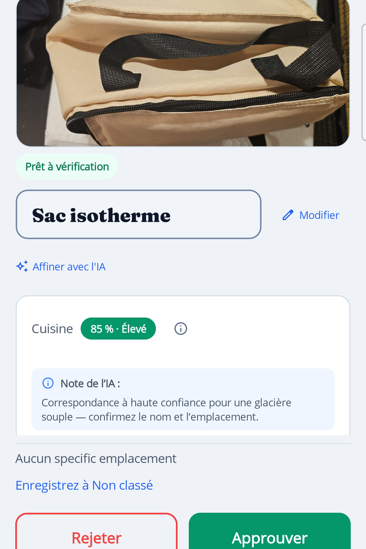 HoardIQ Review screen with AI suggestions to approve