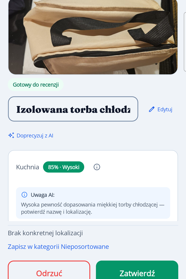 HoardIQ Review screen showing AI suggestions for a captured item